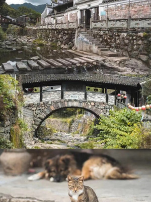 宁波三个超赞赏秋地!一路上红枫银杏美不胜收,去看最美的秋天!