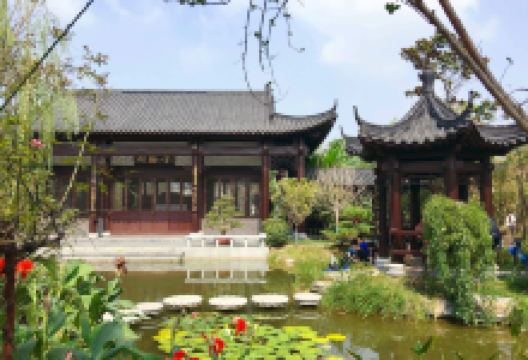 倒生根公园景点图片