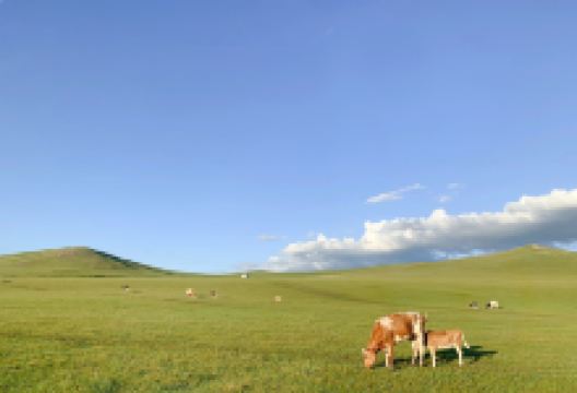 骏驰马场景点图片