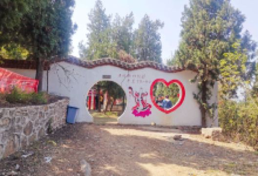 萧县圣泉寺景点图片