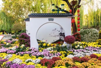 【免排队赠景交】济南趵突泉.大明湖深度讲解2小时【济南10人精品小团 /1人起发 /0购物0自费0暗店/】