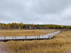 七星湖湿地公园-围场-北京雪