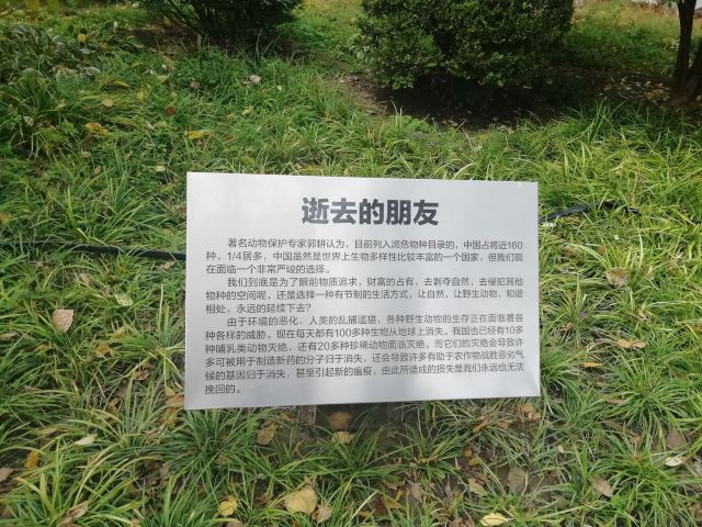 南馆公园旅行图片 3