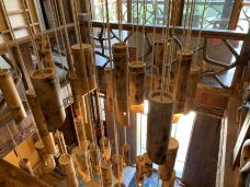 福建龙栖山国家级自然保护区-将乐-YoYo_6L4Q4G2E