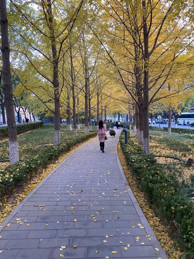 皇城根遗址公园旅行图片 4