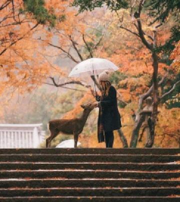 双鸭山游记图文-15件旅行中最后悔的事，我经历过7件，你呢？