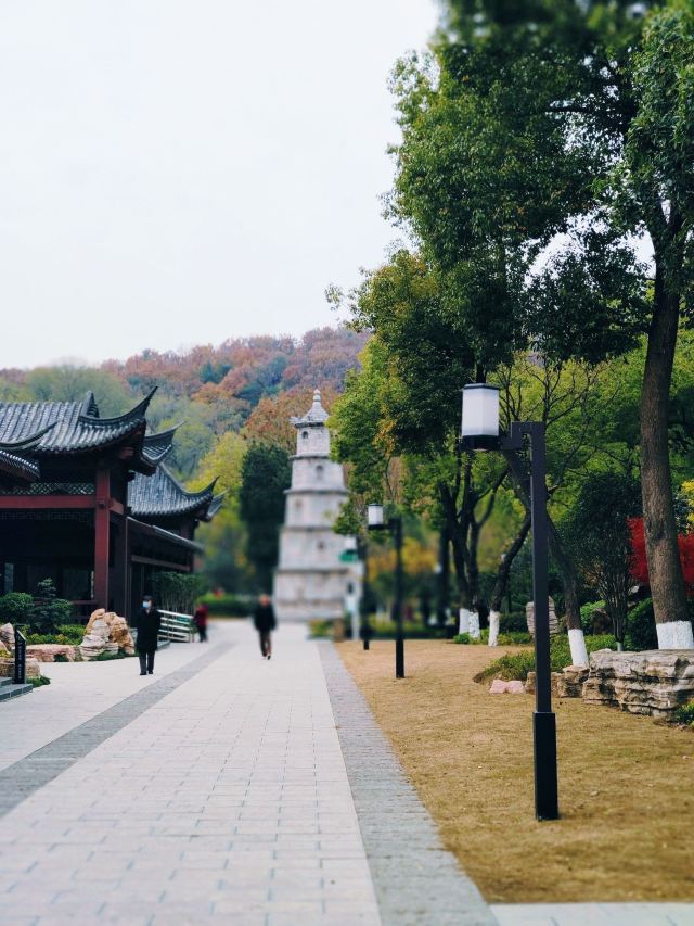 龙泉公园旅行图片 2