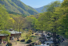Shintohoku Sasaya Mountain Stream Fishing景点图片