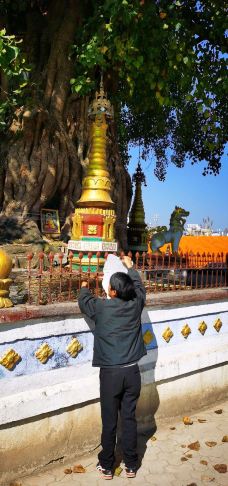 树包塔-芒市-逍遥糊涂仙1971