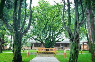 就地过年，足不出‘云’丨昆明上榜最潮亲子游，带娃走进田园森林！