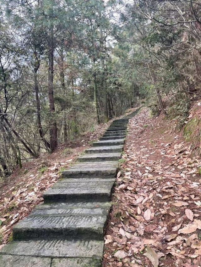 长沙黑麋峰森林公园旅行图片 7