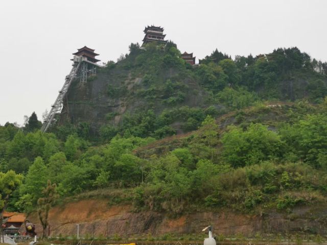 太平山旅行图片 2