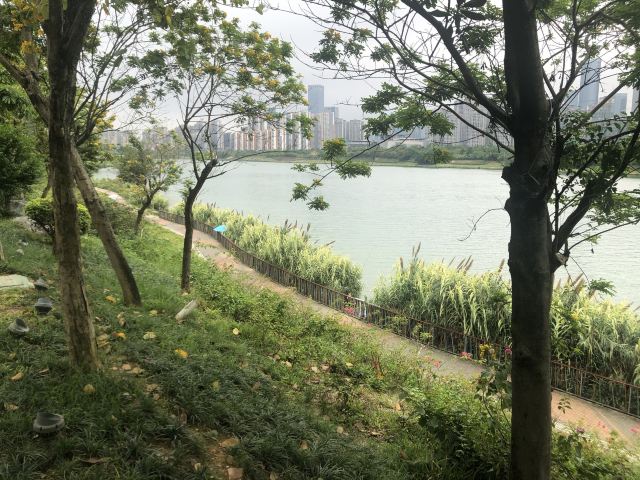 邕江北岸公园旅行图片 5