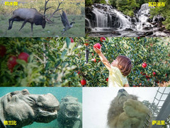 蒙特利尔游记图片] 【好旅知时节】加拿大蒙特利尔周边（九月）