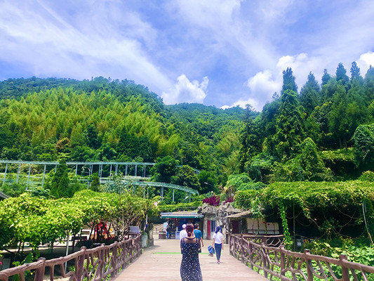 高州仙人洞一日游,我的负离子之旅