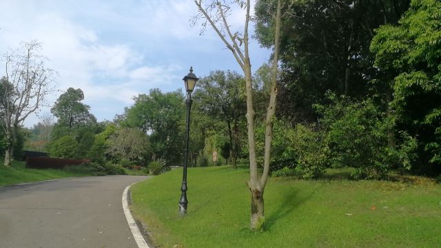 万科五龙山公园旅行图片 1