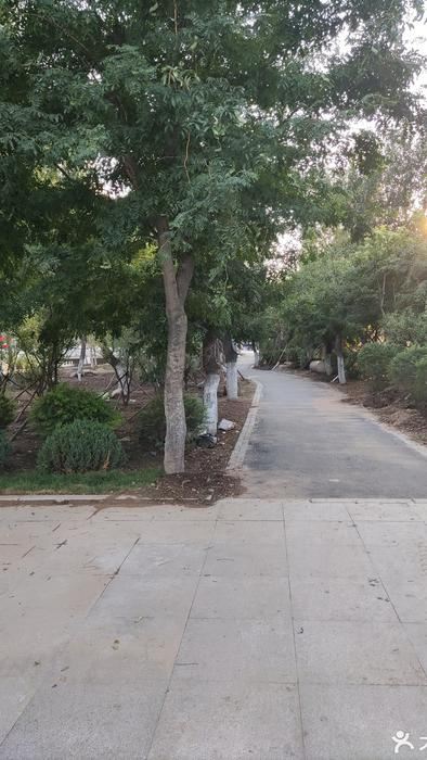 皂角园旅行图片 2