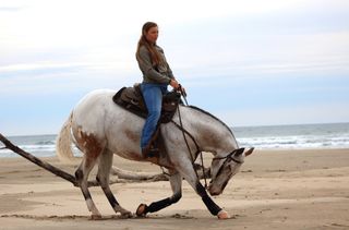 无疆牧场:如何成为优秀的马术骑士?来看摩根和爱马Endo的故事