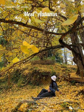 南雄始兴4天3晚游——当秋风吹起冬霜凝起 你应该去看一场黄叶泡一汤温泉