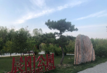 晨阳公园景点图片
