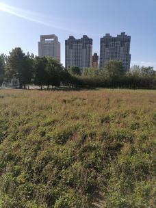 敕勒川公园-呼和浩特-不胖的胖妹妹