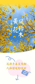 宁南游记图片] 宁南的花与温泉都在等你~