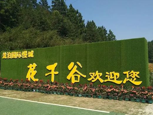 泷泊国际慢城花千谷