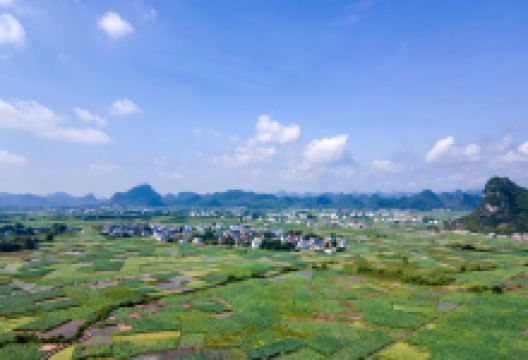 百朋莲花小镇景点图片