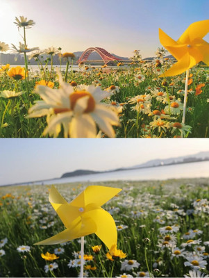 宁波小众旅行地，伴随初夏的阳光，去这三地避开拥挤享受悠闲惬意