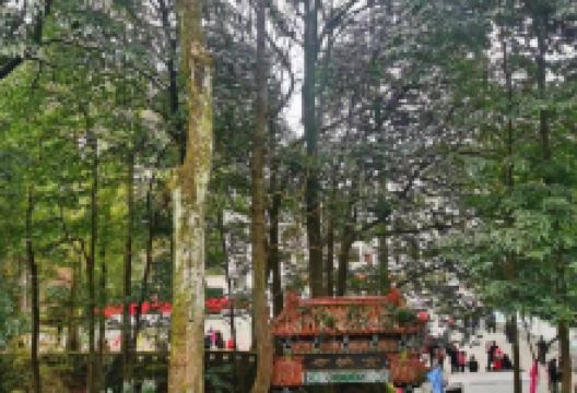 金城山森林公园景点图片