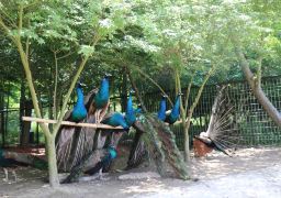 travel picture