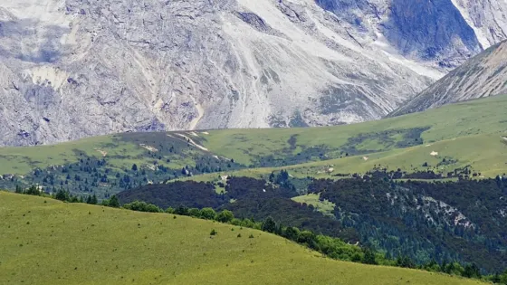 霍洛季林山