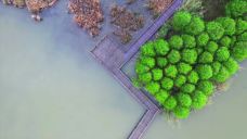 苏州太湖国家湿地公园-苏州-YoYo_4G7M3Q7D