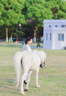 苏州中国花卉植物园-苏州-C-IMAGE