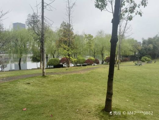 麻山双月湾湿地公园