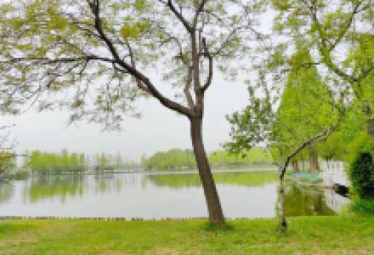 熊岳植物园景点图片