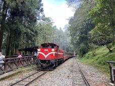 阿里山国家森林游乐区-嘉义县-岱山香橙