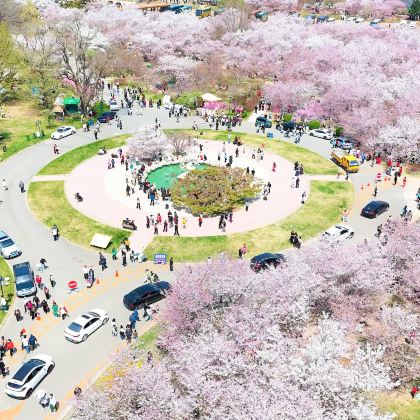 大连+旅顺口区+大连金石滩国家旅游度假区5日4晚私家团