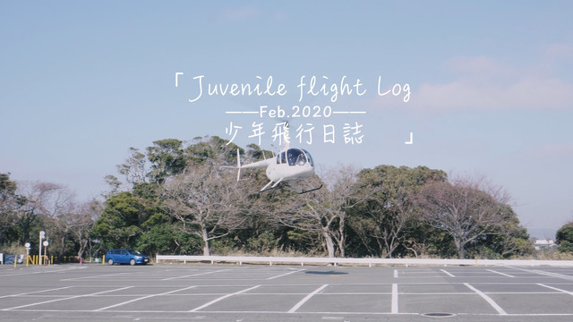 东京三浦半岛:一次直升机飞行体验(东京AirX)