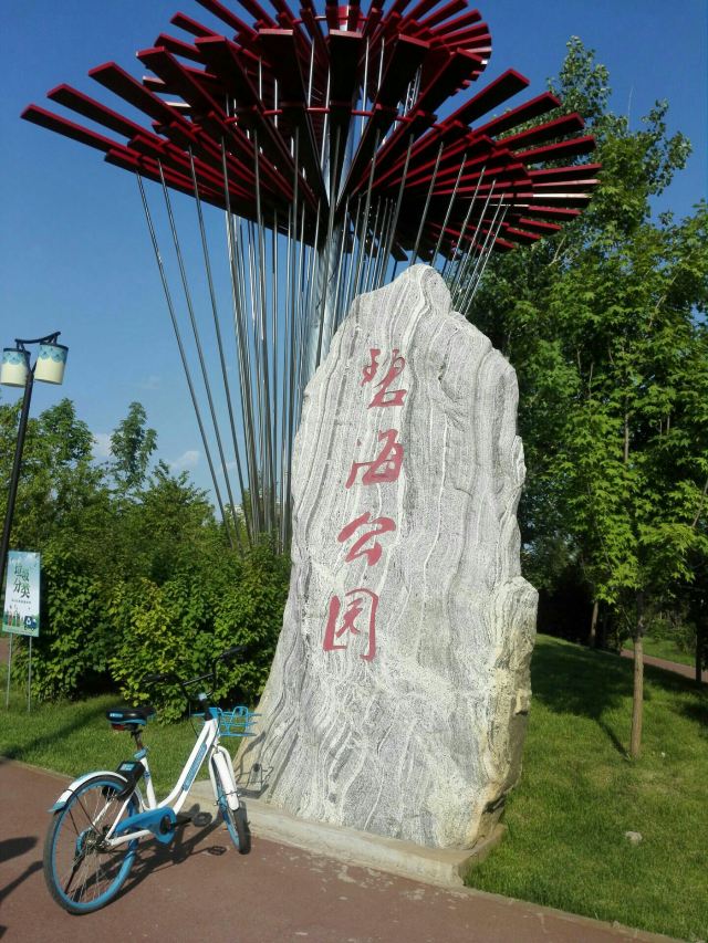 碧海公园旅行图片 1