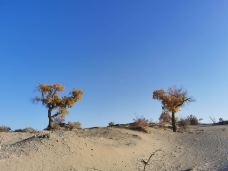 塔里木沙漠公路-且末-JJ77