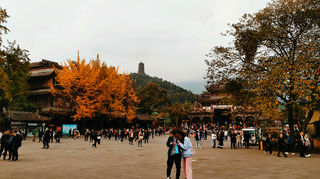 美图,都江堰深秋景色