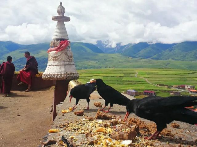 大金寺旅行图片 2