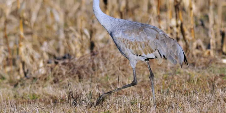 普洱國家公園犀牛坪景區