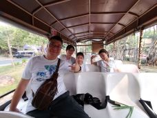 绿山动物园-Bang Phra-树袋熊2017