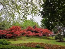 东湖梅园-武汉-wbclawyer