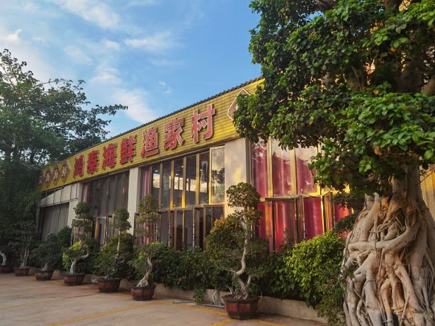 白马井鸿泰海鲜渔家村(人民路店)