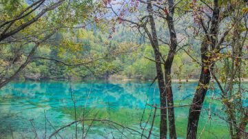 Jiuzhaigou Love Sea Scenic Area