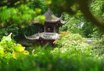 成都大熊猫繁育基地+杜甫草堂+武侯祠+锦里古街一日【私家团】【私家小团丨小众玩法丨纯玩无购丨独立包车丨行程可调丨随停随走丨时间自由丨上门接送】