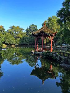 清溪园-都江堰-山茶叶蛋糕